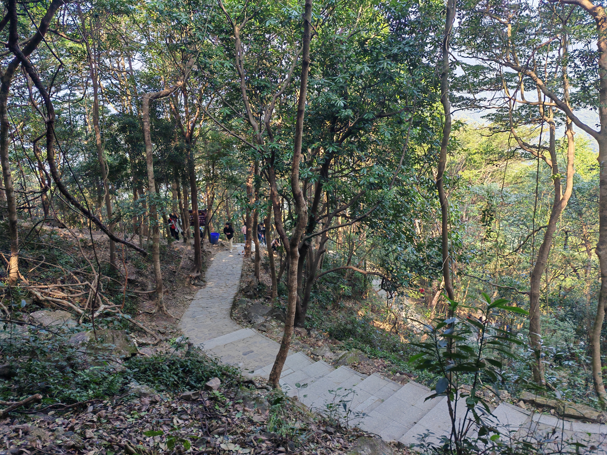 j9.com建设青委会,勇攀高峰迎新年!
